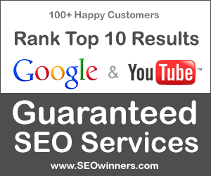 Professional SEO Services and Rank top 10 Google